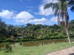 Unidade Masculina Suzano-SP (9)
